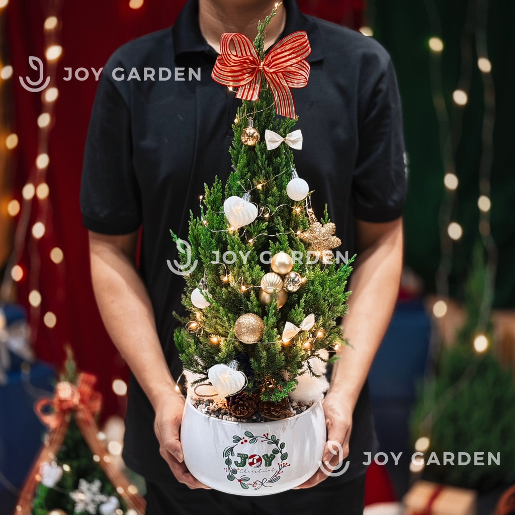 Set Tùng Joy Xmas [Tông Golden] Size M