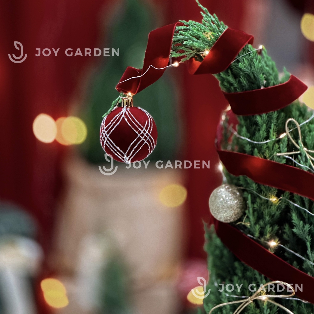 Set Tùng Bắc Âu [Tông Đỏ] size L