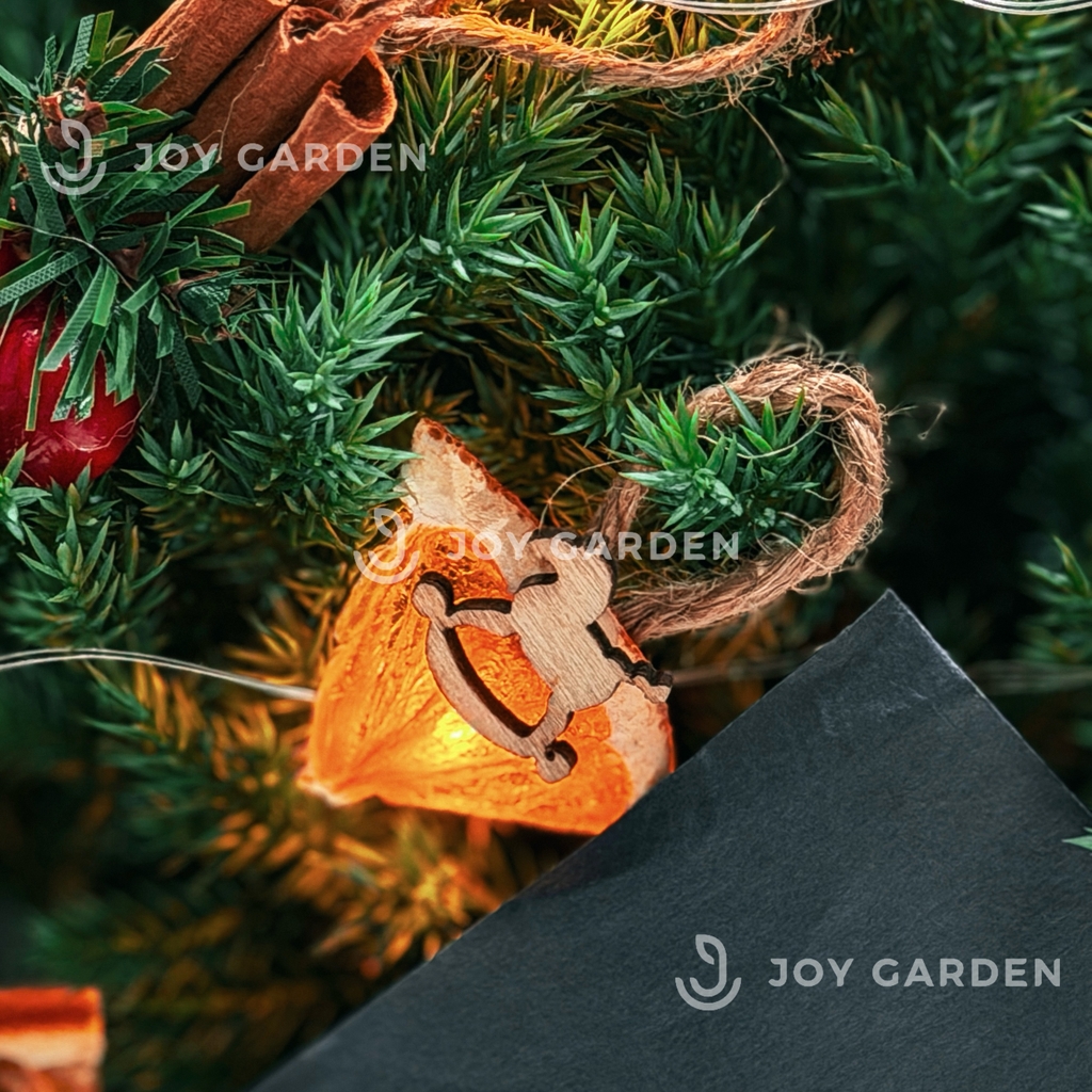 Set Tùng [Winter Spice] size M