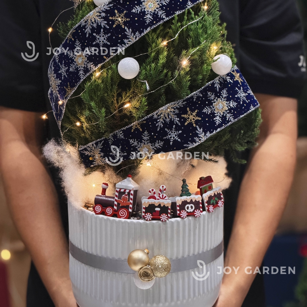 Set Tùng Bắc Âu [Tông Xanh Cobalt] size L