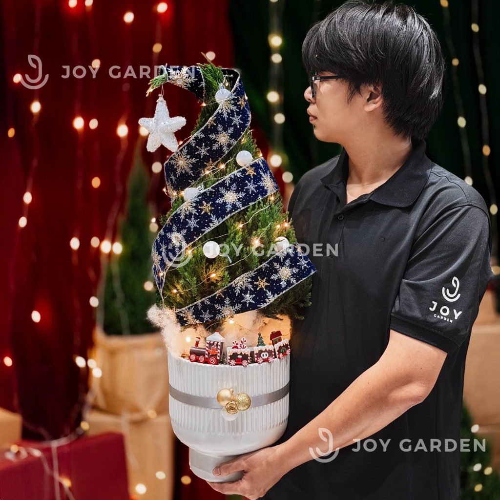 Set Tùng Bắc Âu [Tông Xanh Cobalt] size L