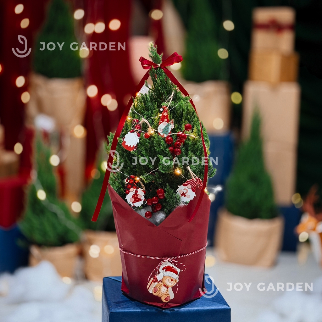 Set Tùng [Thần Lùn] size M