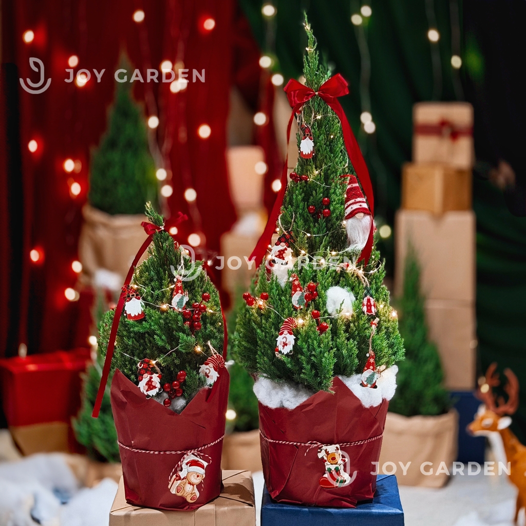 Set Tùng [Thần Lùn] size M