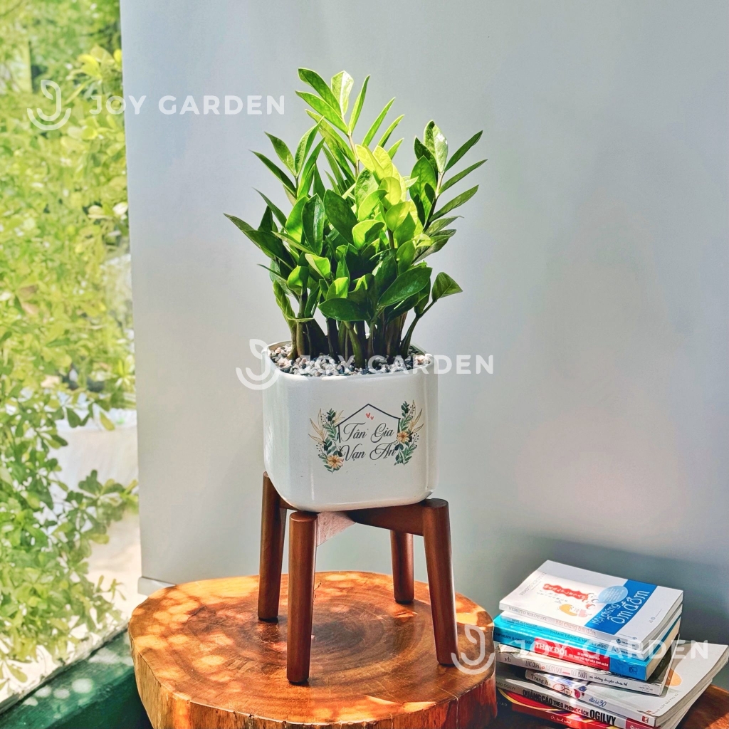 Đôn gỗ [Wooden Plant Stand] (D25H19 Caramel)