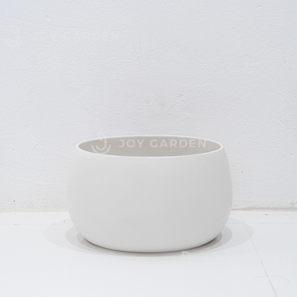 Chậu Hạt Dẻ (D24H22)