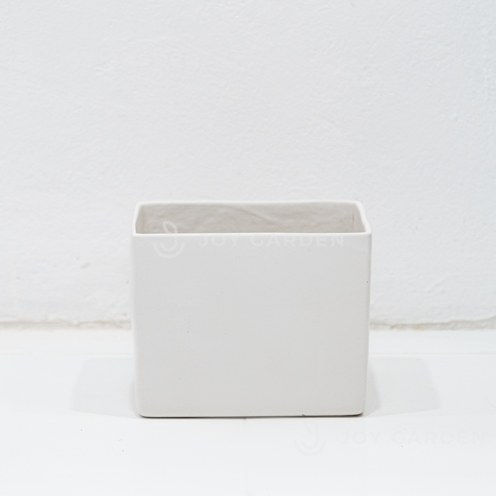 Chậu Men Vuông (D12H12)