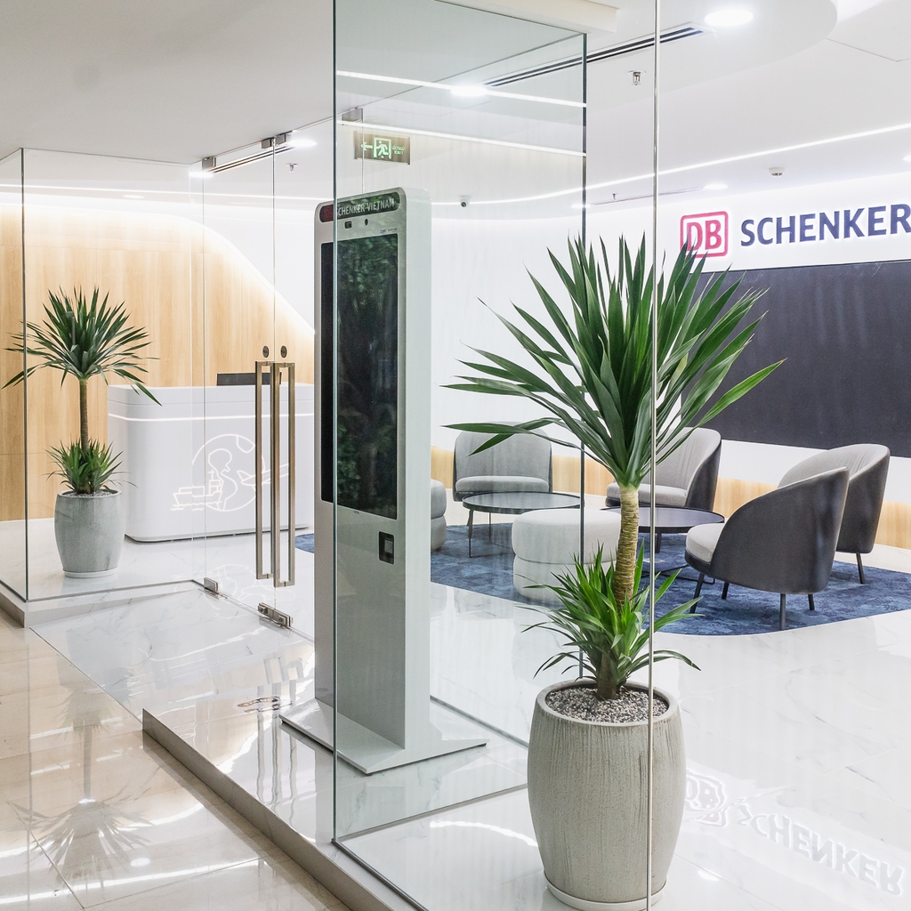 Phát tài núi [Chậu xám lớn]