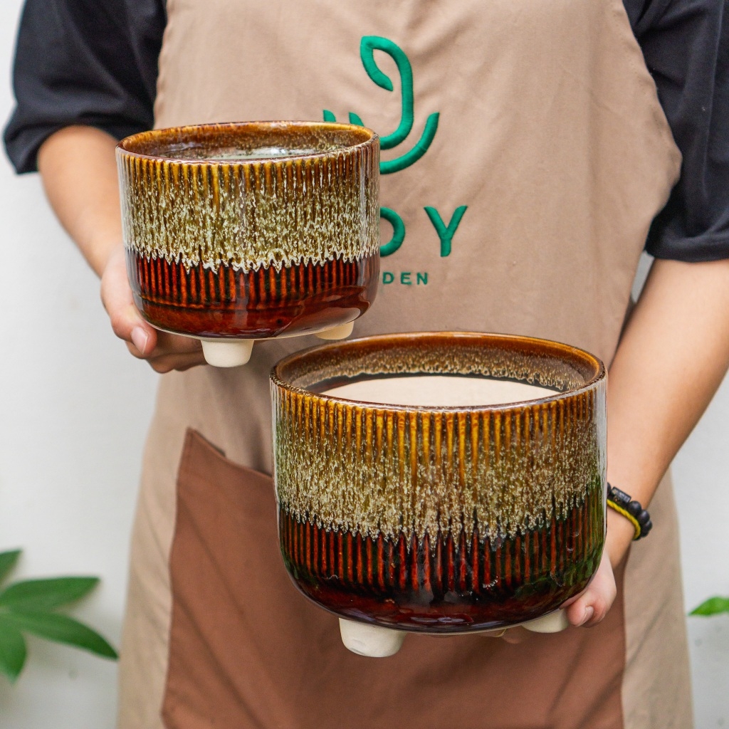 Chậu chân tăm hỏa biến