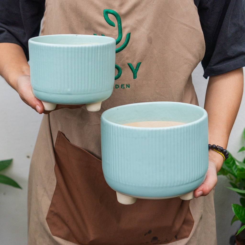 Chậu chân tăm Pastel