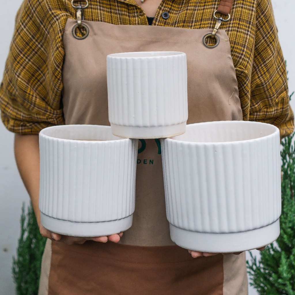 Chậu Trụ Kẻ Pastel