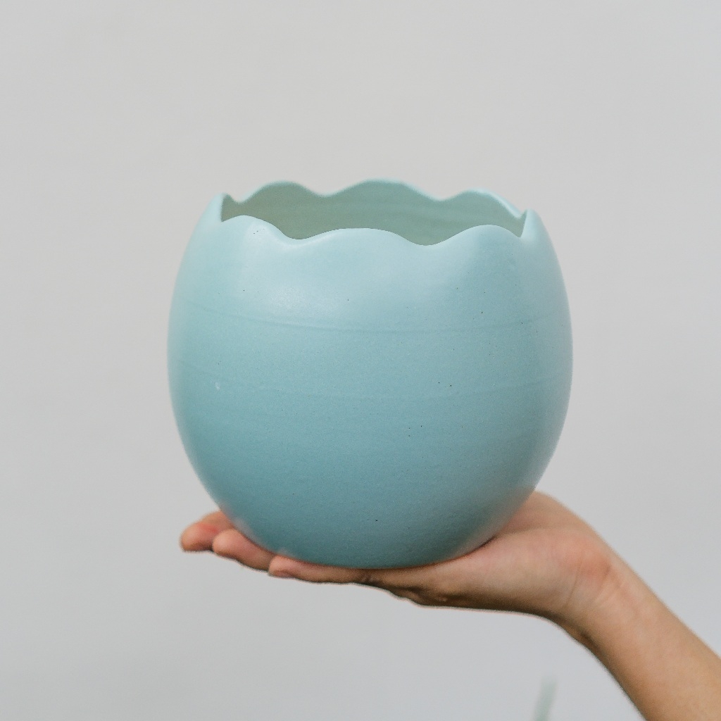 Chậu Trứng Rồng