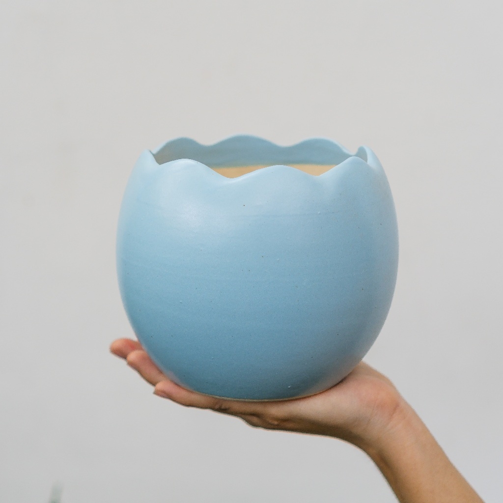 Chậu Trứng Rồng