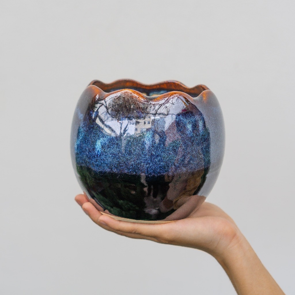 Chậu Trứng Rồng