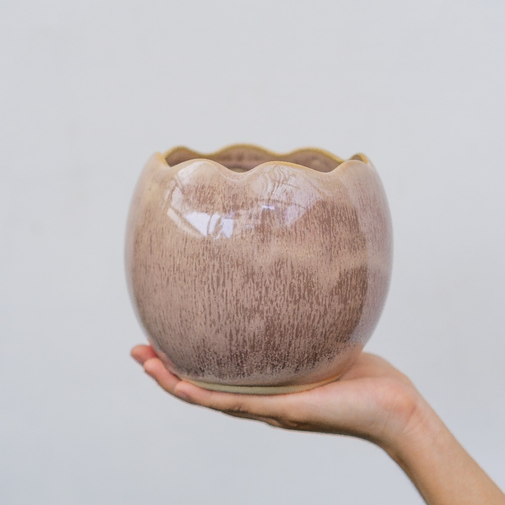 Chậu Trứng Rồng