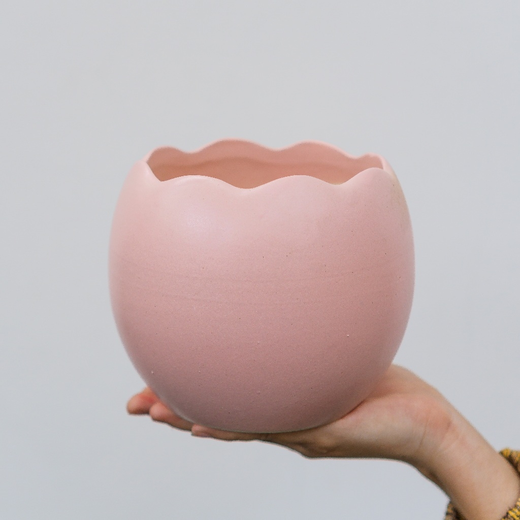 Chậu Trứng Rồng