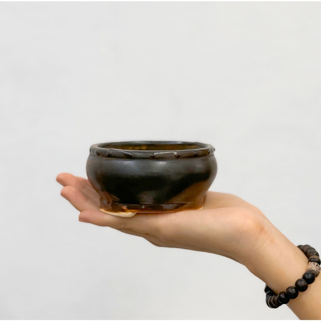 Ang bo cổ điển mini - Chậu men bát tràng - Trồng cây gì cũng rất là nghệ thuật | Joy Garden