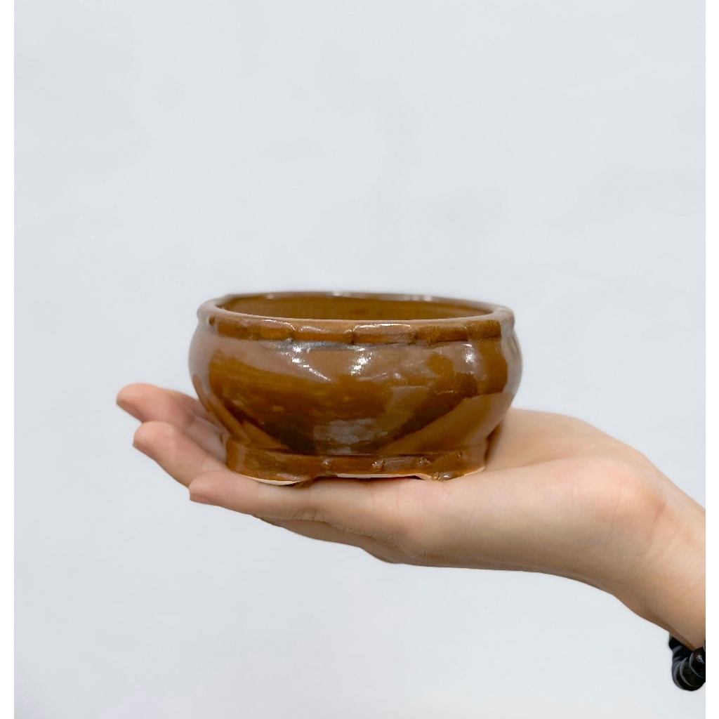 Ang bo cổ điển mini - Chậu men bát tràng - Trồng cây gì cũng rất là nghệ thuật | Joy Garden