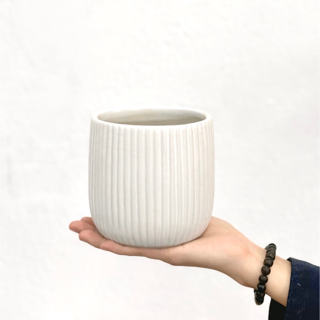 Chậu Lê Sọc màu trắng Pastel cực xinh - chậu trồng sen đá, xương rồng và cây trong nhà | Joy Garden