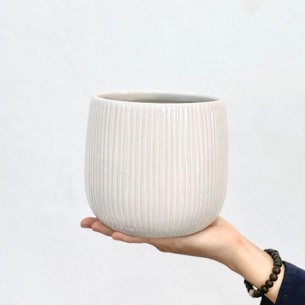 Chậu Lê Sọc màu trắng Pastel cực xinh - chậu trồng sen đá, xương rồng và cây trong nhà | Joy Garden