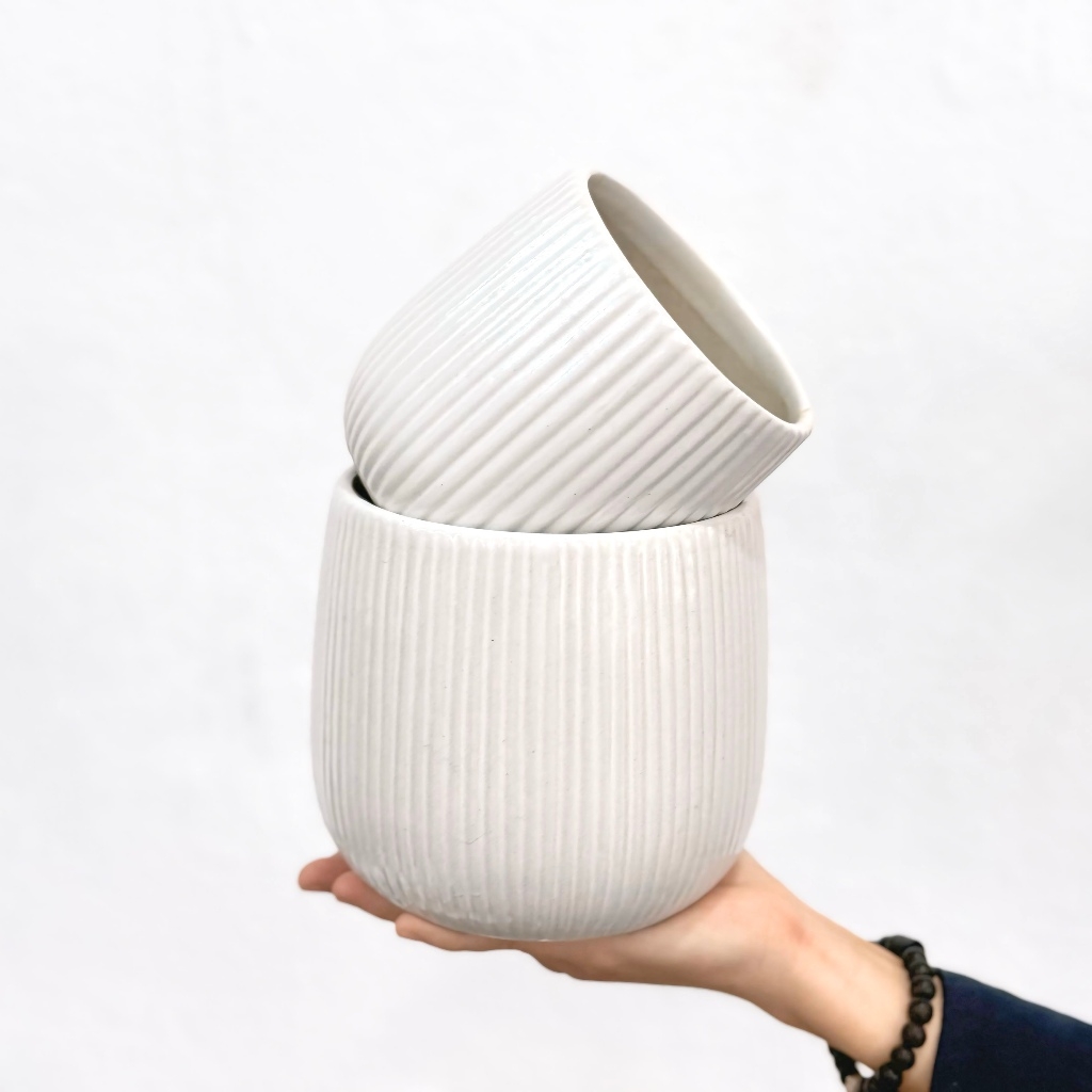 Chậu Lê Sọc màu trắng Pastel cực xinh - chậu trồng sen đá, xương rồng và cây trong nhà | Joy Garden