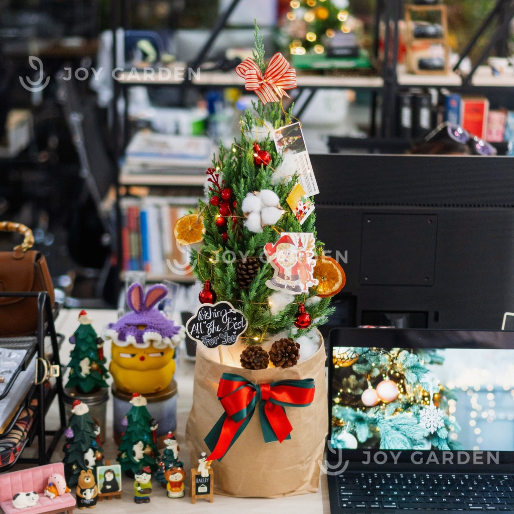 Set Tùng [Wish the best 4U] Size M