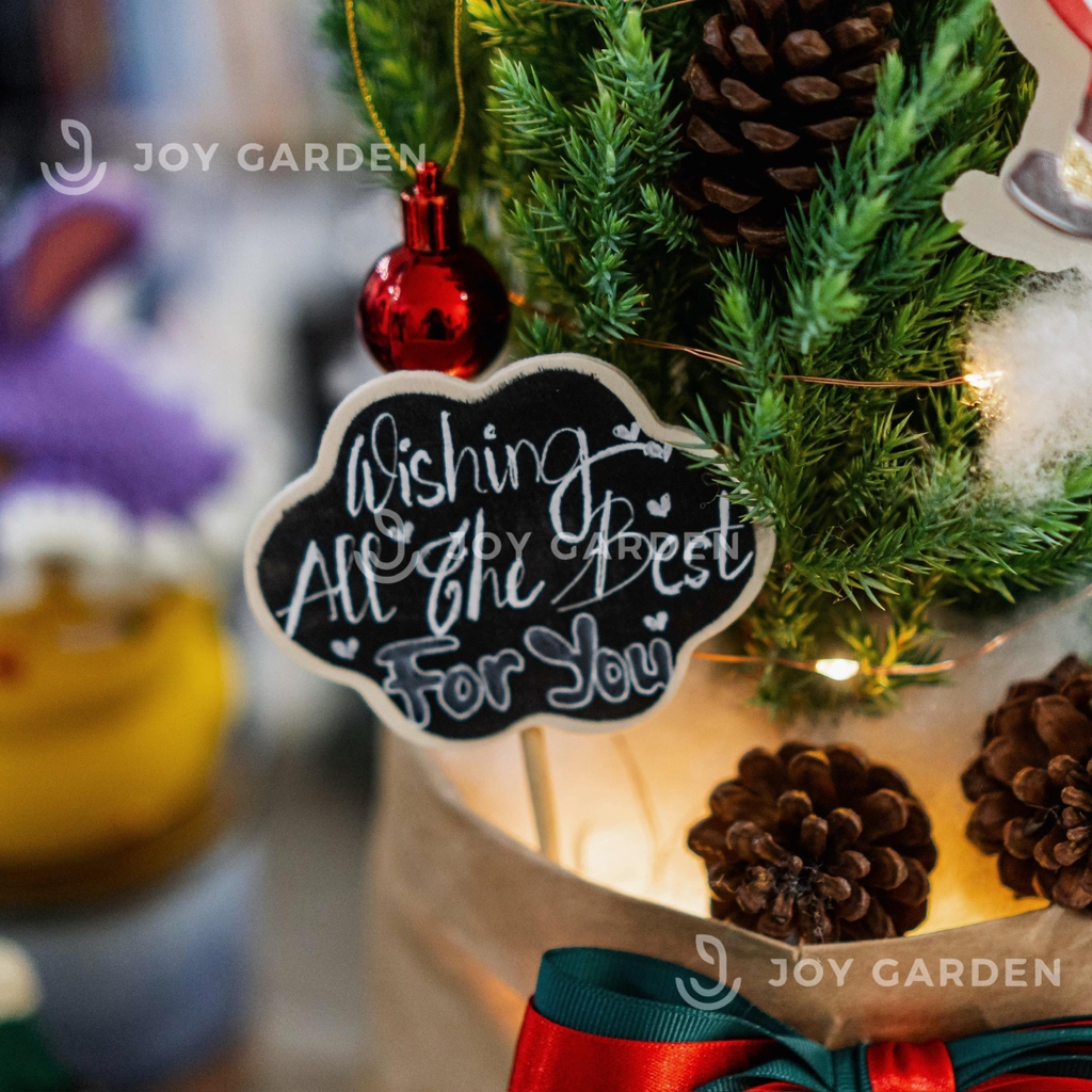 Set Tùng [Wish the best 4U] Size M