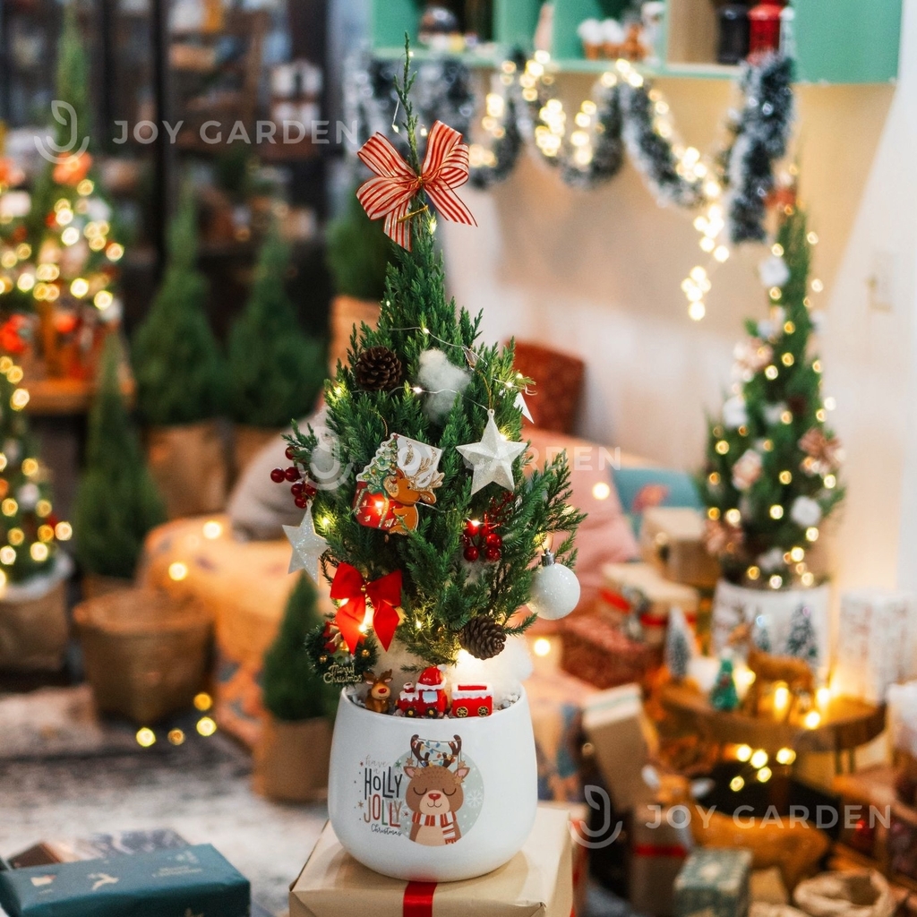 Set Holly Jolly [Tông Đỏ Trắng] Size M