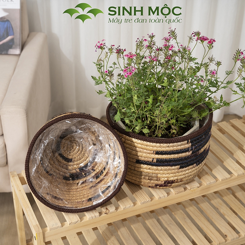 Chậu cây lục bình, chậu cây trang trí, giỏ lục bình, chậu cây để bàn, decor chụp ảnh Sinh Mộc - M1022