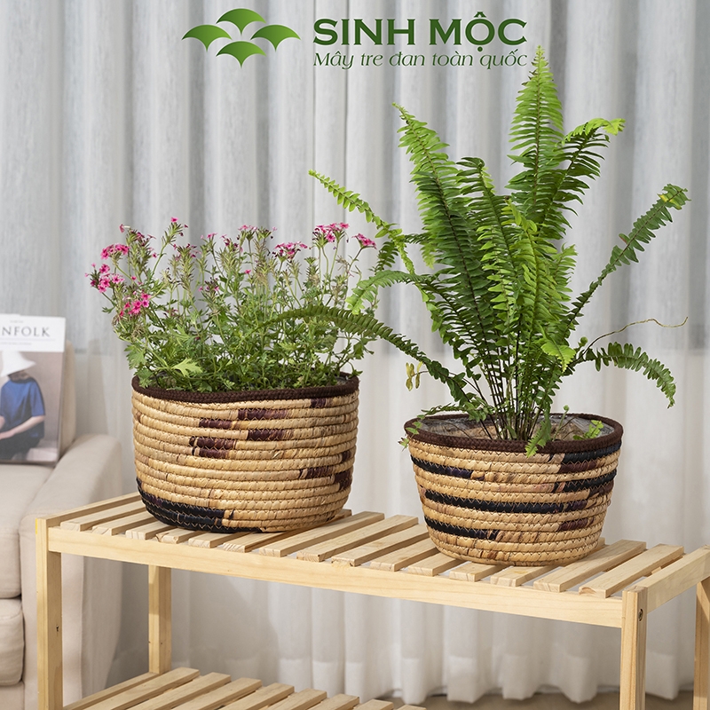 Chậu cây lục bình, chậu cây trang trí, giỏ lục bình, chậu cây để bàn, decor chụp ảnh Sinh Mộc - M1022