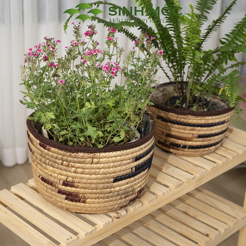 Chậu cây lục bình, chậu cây trang trí, giỏ lục bình, chậu cây để bàn, decor chụp ảnh Sinh Mộc - M1022