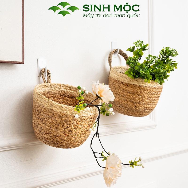 Giỏ bèo trồng cây siêu dễ thương, decor lục bình để bàn, treo tường - M1006