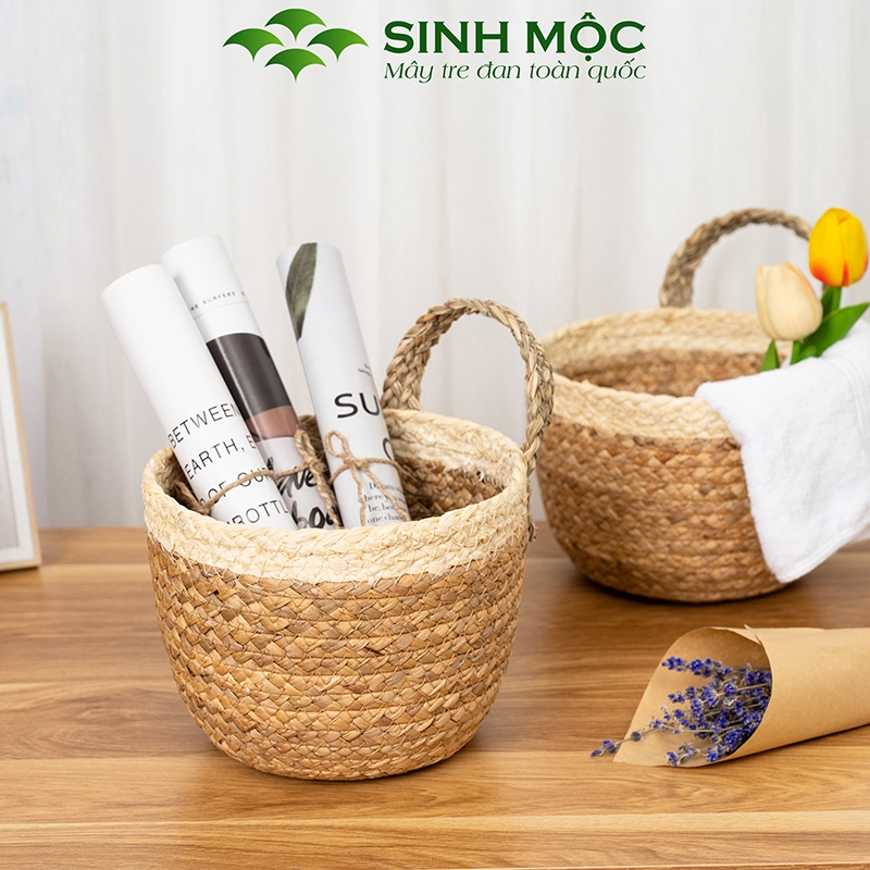 Giỏ bèo trồng cây siêu dễ thương, decor lục bình để bàn, treo tường - M1006