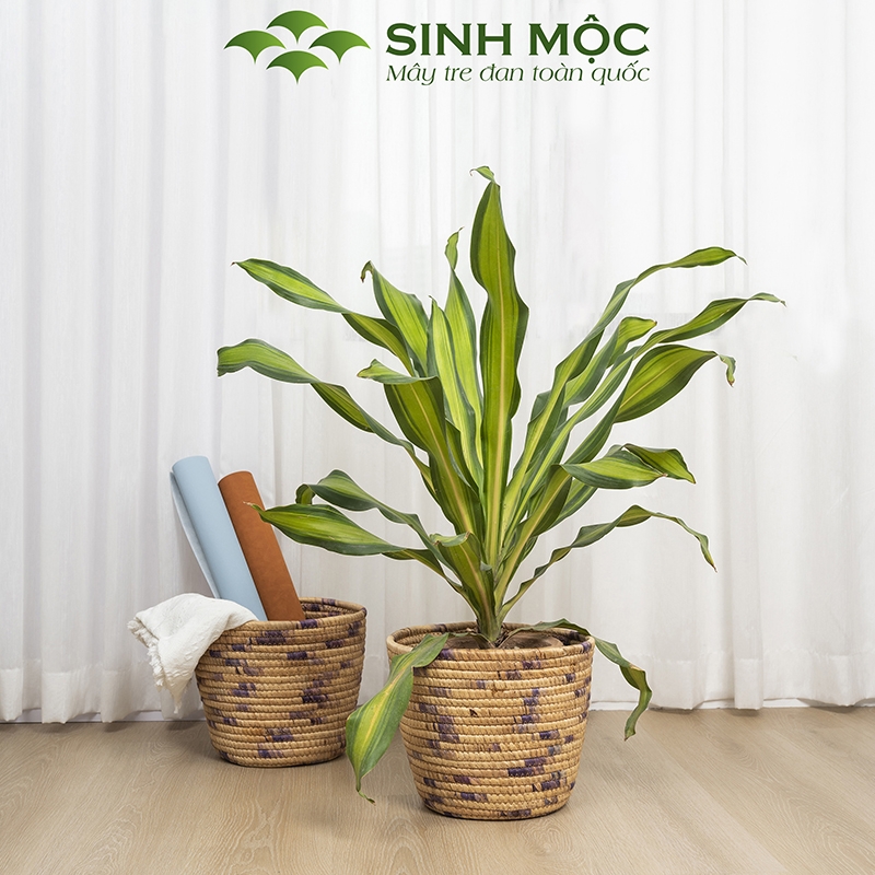 Giỏ lục bình đa năng, giỏ đựng đồ, giỏ trồng cây, decor giỏ bèo Sinh Mộc - M1034