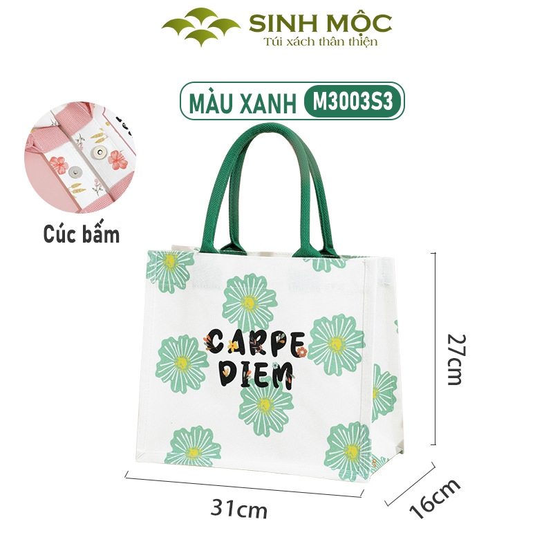Túi vải Carpe Diem canvas thời trang nữ tính, 3 màu trẻ trung – M3003