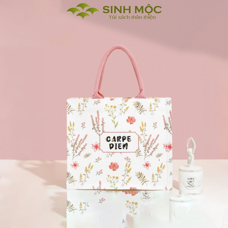 Túi vải Carpe Diem canvas thời trang nữ tính, 3 màu trẻ trung – M3003
