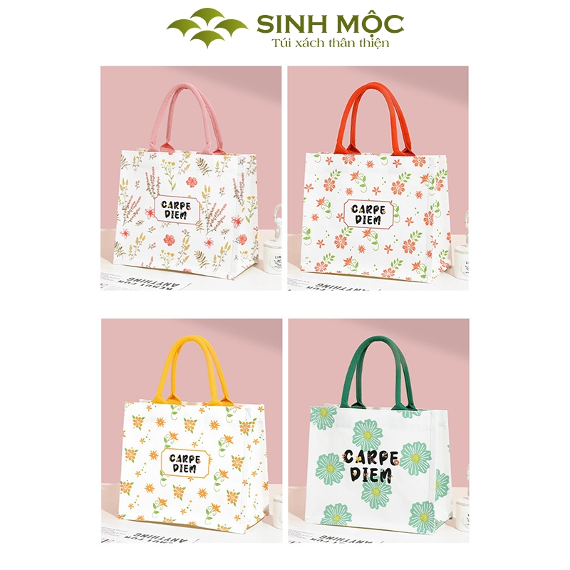 Túi vải Carpe Diem canvas thời trang nữ tính, 3 màu trẻ trung – M3003