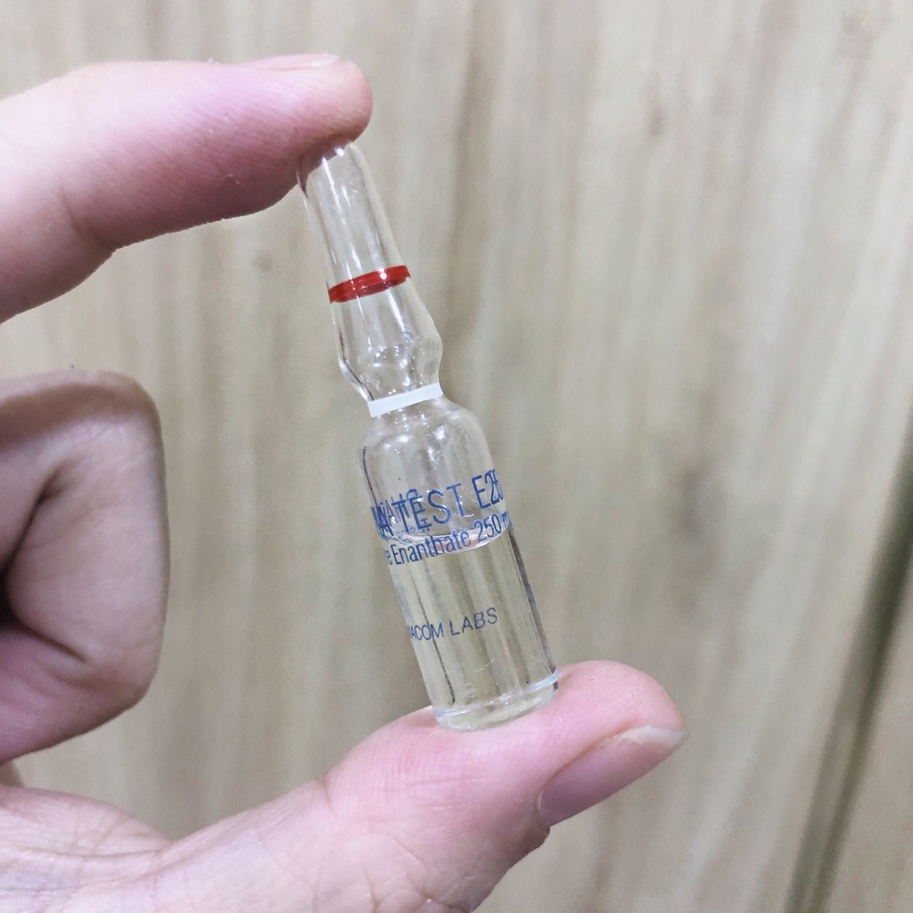 Testosteron Enanthate 250mg (Test E) Hãng Lab 100.000 vnd/ống
