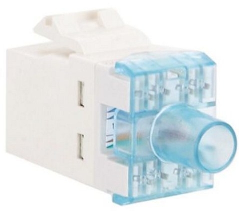 Nhân Mạng OEM Module Jack RJ45 CAT6 WallPlate AMP