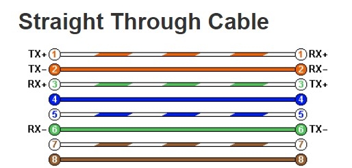 Cáp Kết Máy Xét Nghiệm Miễn Dịch Tự Động Architect i1000 SR Với Máy Tính DATA Link RS232 Communication Ethernet Straight Through Cable RJ45 to RJ45 Colour Grey Length 5M