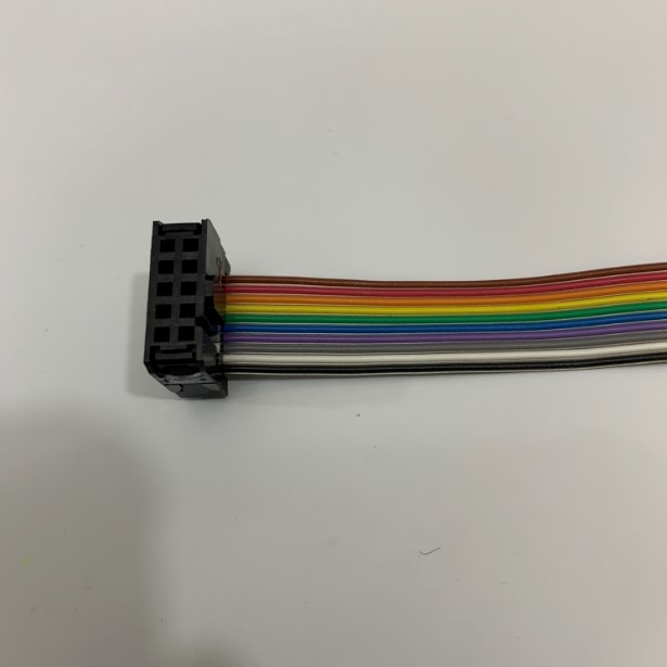 Cáp Kết Nối 10 Pin 2.54mm Pitch 2x5P 10 Wire Female to Female IDC Flat Rainbow Ribbon Cable Length 30Cm For PLC CNC CMC LCD Screen