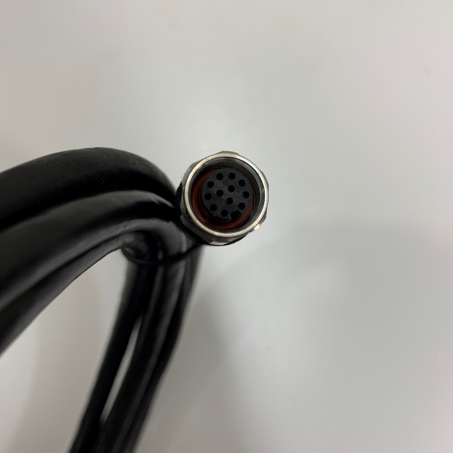 Cáp M12 12 Pin Female ESCHA Power Cable to 18 Pin Dài 2.5M 8ft Part Number: AL-WAKSE12.024-5/S3909 8062493 2263/4100064 Cable Original in Korea