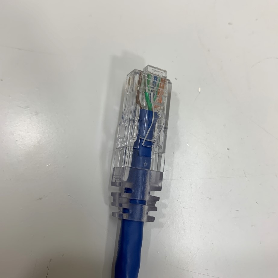Cáp Mạng Đúc PANDUIT UTP 24AWG CAT6 10Ft Dài 3M For Industrial Camera Gigabit 8P8C RJ45 Ethernet Network Cable Blue