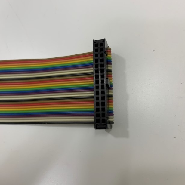 Cáp Bẹ Nhiều Mầu IDC Rainbow Wire Flat Ribbon Cable 30 Pin Connector Type A FC/FC Connector 2.54mm Pitch Dài 0.2M