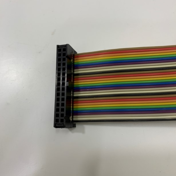 Cáp Bẹ Nhiều Mầu IDC Rainbow Wire Flat Ribbon Cable 30 Pin Connector Type A FC/FC Connector 2.54mm Pitch Dài 0.3M