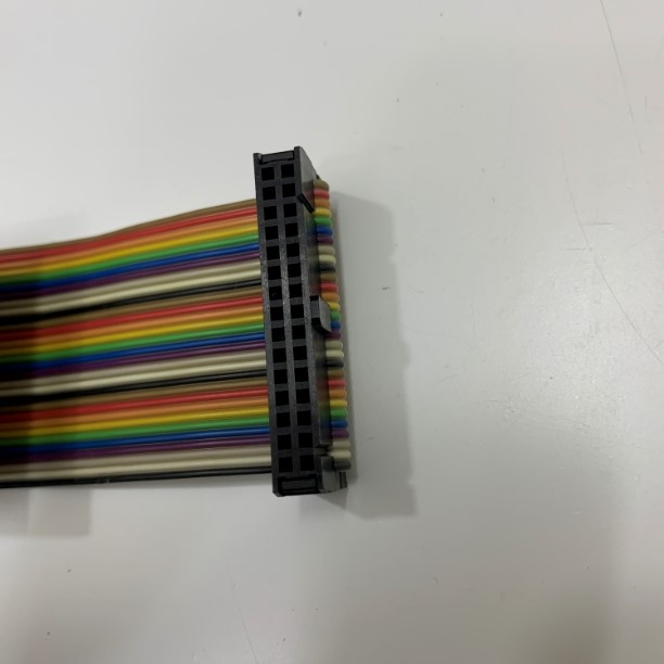 Cáp Bẹ Nhiều Mầu IDC Rainbow Wire Flat Ribbon Cable 30 Pin Connector Type A FC/FC Connector 2.54mm Pitch Dài 0.3M