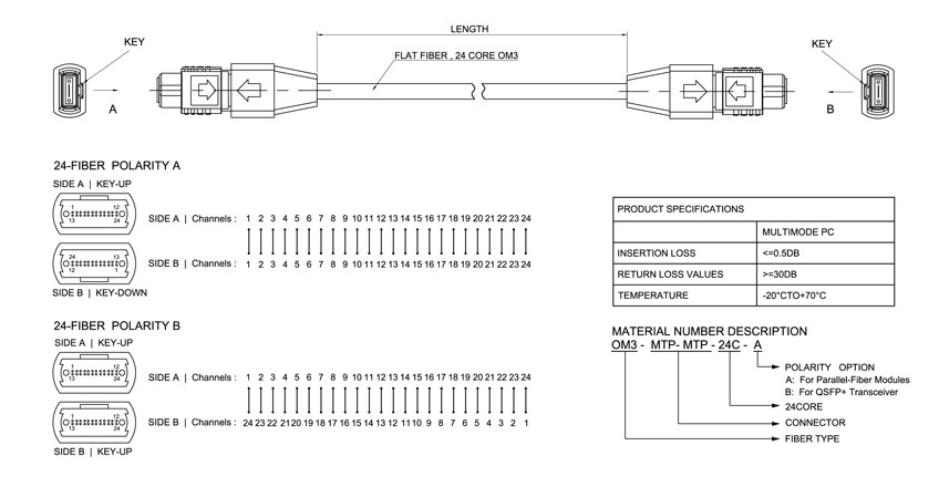 Dây Nhảy Quang 24 Fibers 10G MTP to MTP Flat Cable Dài 2M US Conec MTP Connector Singlemode 24 Fiber