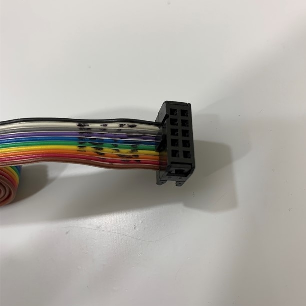 Cáp Chuyển Đổi Flat Ribbon Cable 10 Pin IDC Connector Pitch 2.54mm to RS232 DB9 Female Length 1M