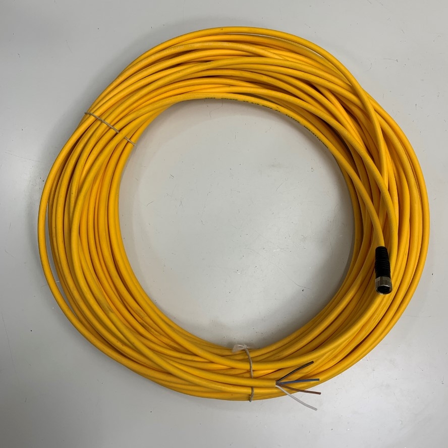 Cáp Điều Khiển Connector M8 4 Pin Female K-Coded to 4 Core Bare Wire Open End Dài 30M 90ft Cable Pilz E33141 4x0.25mm² OD 5.0mm Colour Yellow in Germany