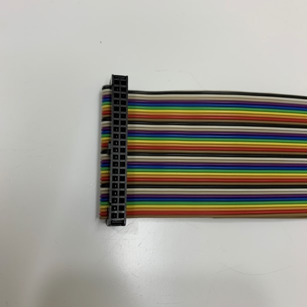 Cáp Điều Khiển Flat Ribbon Rainbow Cable IDC 40 Pin 2.54mm to Y Splitter 2 IDC Flat Ribbon 20 Pin Length 0.3M