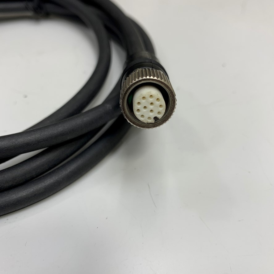Cáp Điều Khiển Leuze 50130281 KD S-M12-CA-P1-020 Dài 2M 6.5ft Cable M12 A-Code 12 Pin Female to 12 Core Open End For Leuze Electronic Camera